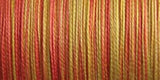 Sulky Blendables Thread 12wt 330yd