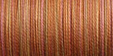 Sulky Blendables Thread 12wt 330yd