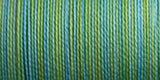 Sulky Blendables Thread 12wt 330yd