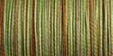 Sulky Blendables Thread 12wt 330yd