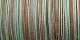 Sulky Blendables Thread 12wt 330yd