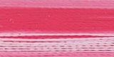 Robison-Anton Rayon Super Strength Thread Variegated 700yd