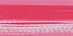 Robison-Anton Rayon Super Strength Thread Variegated 700yd