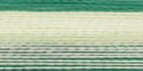 Robison-Anton Rayon Super Strength Thread Variegated 700yd