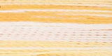 Robison-Anton Rayon Super Strength Thread Variegated 700yd