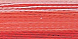 Robison-Anton Rayon Super Strength Thread Variegated 700yd