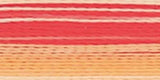 Robison-Anton Rayon Super Strength Thread Variegated 700yd