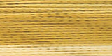 Robison-Anton Rayon Super Strength Thread Variegated 700yd