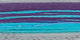 Robison-Anton Rayon Super Strength Thread Variegated 700yd