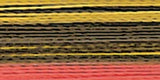 Robison-Anton Rayon Super Strength Thread Variegated 700yd