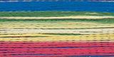 Robison-Anton Rayon Super Strength Thread Variegated 700yd
