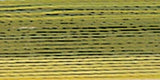 Robison-Anton Rayon Super Strength Thread Variegated 700yd