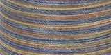 Coats Dual Duty Plus Hand Quilting Multicolor Thread 250yd