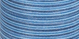 Coats Dual Duty Plus Hand Quilting Multicolor Thread 250yd