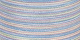 Coats Dual Duty Plus Hand Quilting Multicolor Thread 250yd