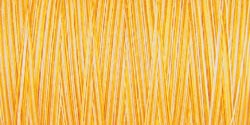 Gutermann Natural Cotton Thread Variegated 876yd