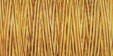 Gutermann Natural Cotton Thread Variegated 876yd