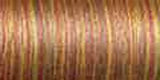 Sulky Blendables Thread 30wt 500yd