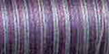 Sulky Blendables Thread 30wt 500yd