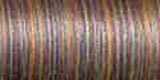 Sulky Blendables Thread 30wt 500yd