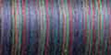 Sulky Blendables Thread 30wt 500yd