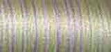 Sulky Blendables Thread 12wt 330yd