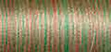 Sulky Blendables Thread 12wt 330yd