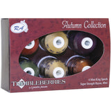 Thimbleberries Rayon Thread Collection 1,100yd 6/Pkg