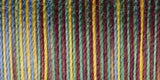 Sulky Blendables Thread 12wt 330yd