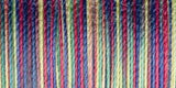 Sulky Blendables Thread 12wt 330yd