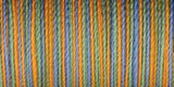 Sulky Blendables Thread 12wt 330yd