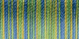 Sulky Blendables Thread 12wt 330yd