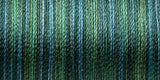 Sulky Blendables Thread 30wt 500yd