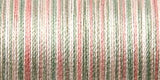 Sulky Blendables Thread 30wt 500yd
