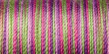 Sulky Blendables Thread 30wt 500yd