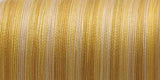 YLI Silk Variegated Thread 200m