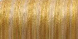 YLI Silk Variegated Thread 200m