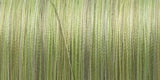 YLI Silk Variegated Thread 200m