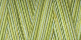 Star Mercerized Cotton Thread Variegated 1,200yd