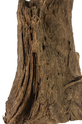 Driftwood Piece 11-13"