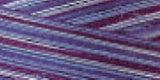 Signature 41 Cotton Variegated Colors 700yd