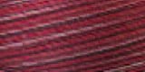 Signature 41 Cotton Variegated Colors 700yd
