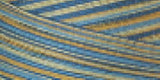 Signature 41 Cotton Variegated Colors 700yd