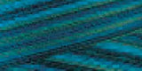 Signature 41 Cotton Variegated Colors 700yd