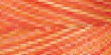 Signature 41 Cotton Variegated Colors 700yd