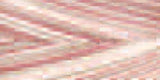 Signature 41 Cotton Variegated Colors 700yd