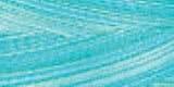 Signature 41 Cotton Variegated Colors 700yd