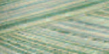Signature 41 Cotton Variegated Colors 700yd