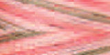Signature 41 Cotton Variegated Colors 700yd