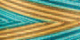 Signature 41 Cotton Variegated Colors 700yd